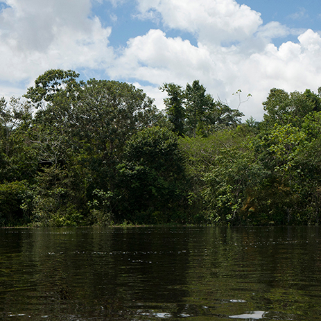 AMAZONAS 7 rio mosaico galeria_MG_4664.jpg